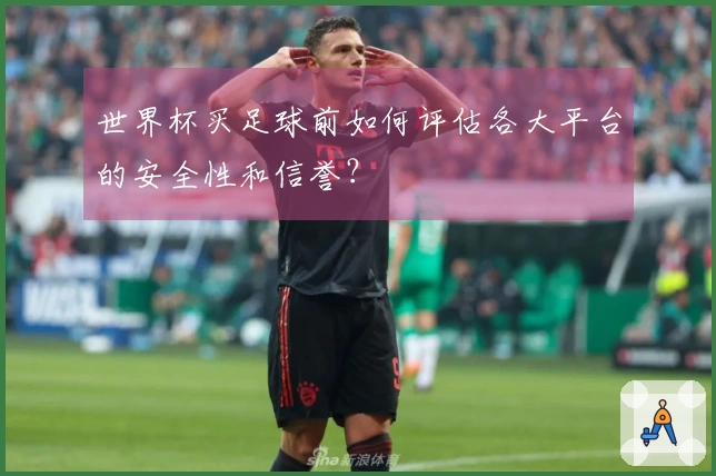 世界杯买足球前如何评估各大平台的安全性和信誉？