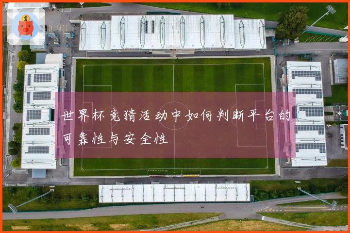 世界杯竞猜活动中如何判断平台的可靠性与安全性