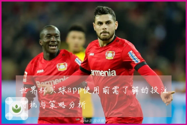 世界杯买球app使用前需了解的投注时机与策略分析