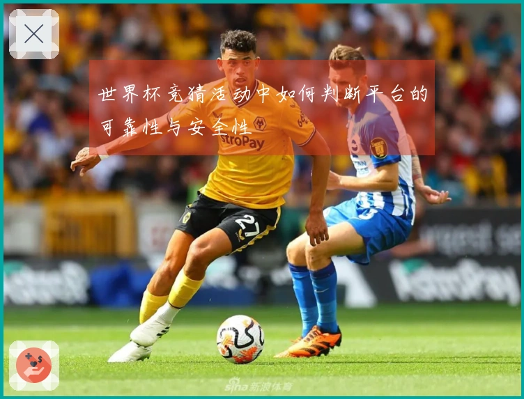 世界杯竞猜活动中如何判断平台的可靠性与安全性